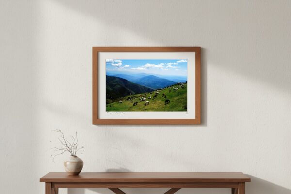 Snow Peaks and Barren Plains of the Himalayas