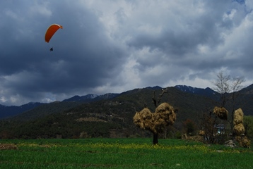 Paragliding over green Himalayan valley with mountain views — Himachal Pradesh